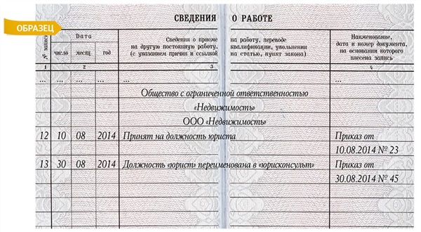 приказ о переименовании должности образец в рб - фото 8