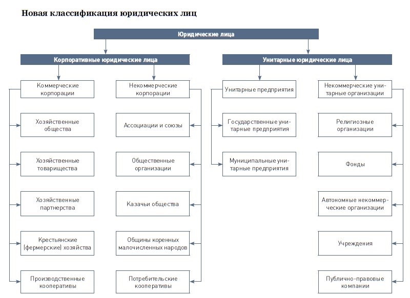 Виды юридических лиц в РФ