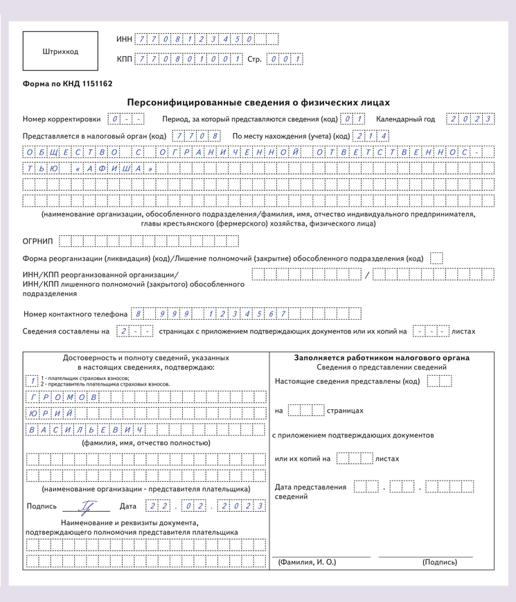 Персонифицированные сведения о физ лицах образец