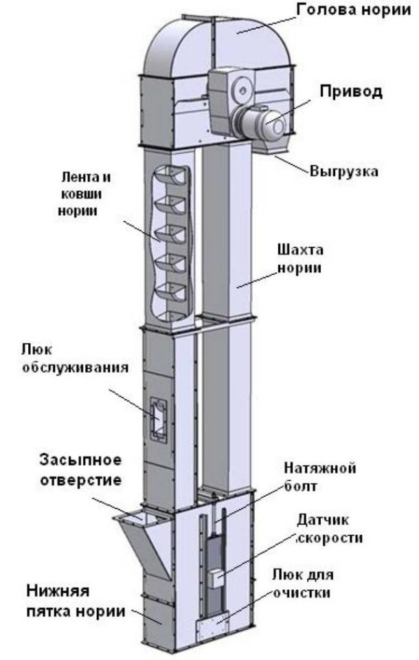 Схема нории ковшовой