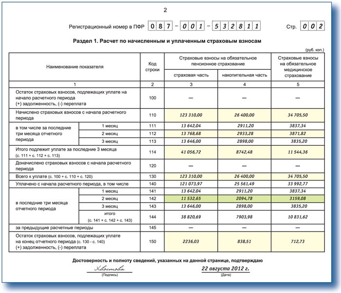 Новый отчет ефс1 образец