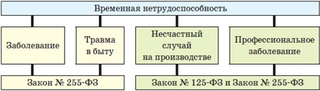 Понятие и виды временной нетрудоспособности