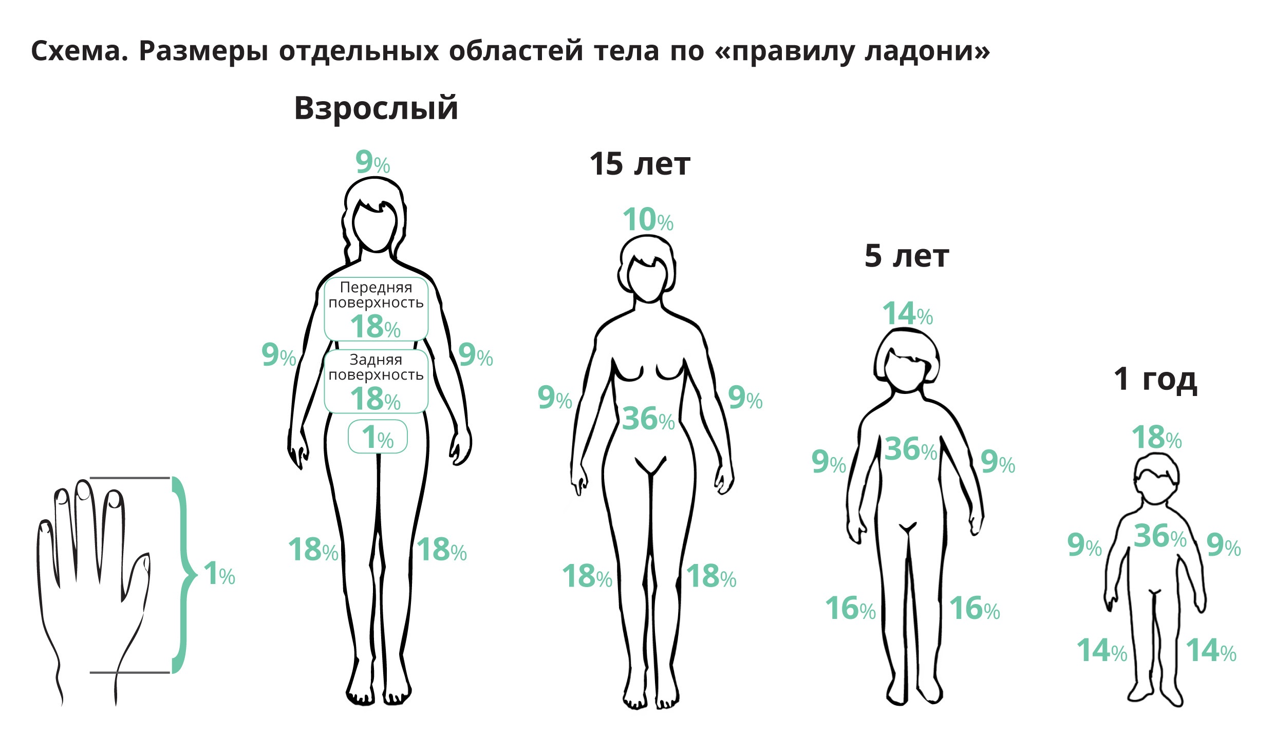 Кефир, сметана и ледяная вода – чем нельзя лечить солнечные ожоги и тепловой удар. Памятки для пациентов по лечению и профилактике ожогов