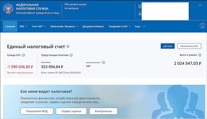 Сальдо енс в личном кабинете налогоплательщика. Сальдо ЕНС. Сальдо ЕНС В личном кабинете налоговой. ЕНС положительное сальдо. Распорядиться переплатой ЕНС.