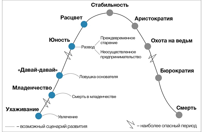 Как правильно трактовать зубчики на схеме адизеса перед этапами младенчество бюрократизация и юность