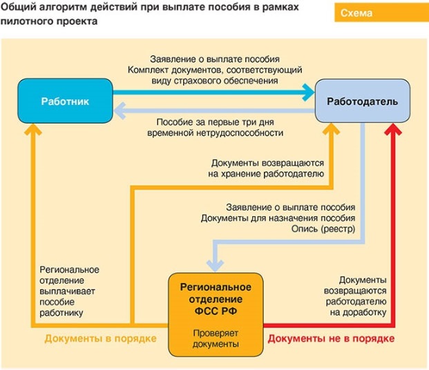 Что такое пилотный проект в медицине