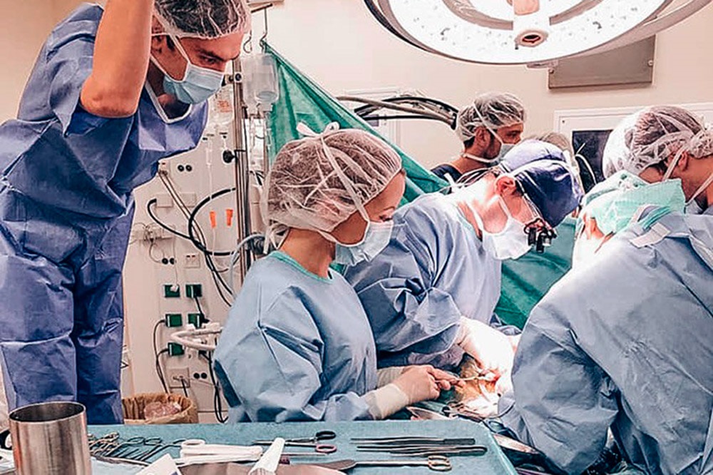 Черные трансплантологи в россии кто они список фото