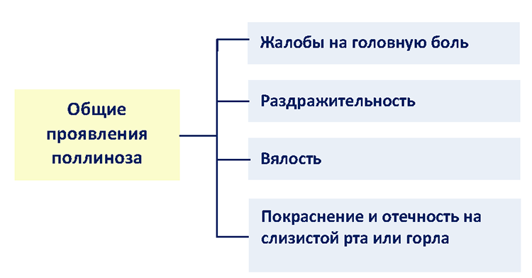 https://e.profkiosk.ru/service_tbn2/5kk-wx.png