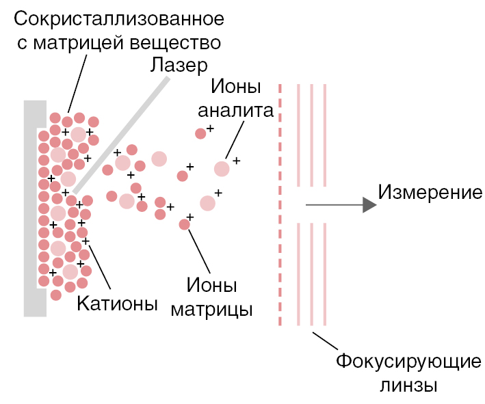 спектроскопия ядерного магнитного резонанса. спектроскопия кругового дихроизма. ямр химия. спектроскопия белков. масс-спектрометрия идентификация микроорганизмов.