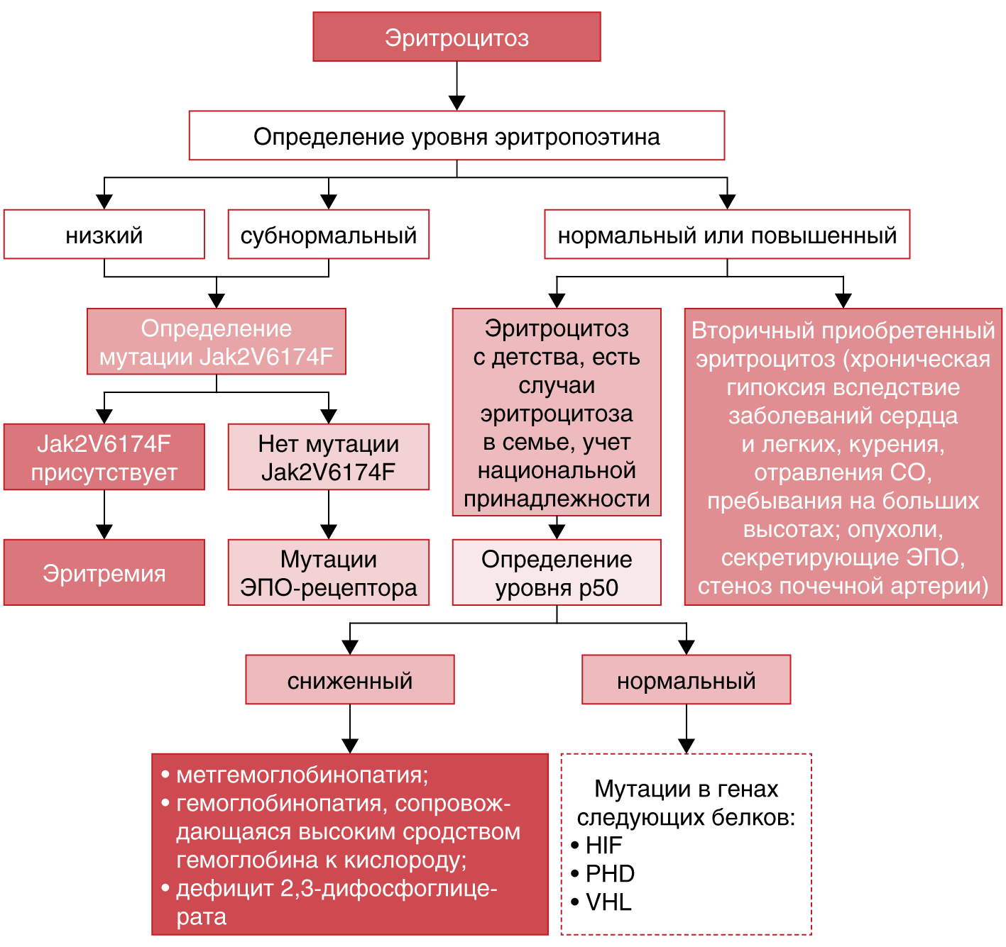 Эритроцитоз это. Механизм развития эритроцитоза. Эритроцитозы этиология и патогенез. Механизм развития эритроцитоза при сердечной недостаточности. Истинная полицитемия патогенез.