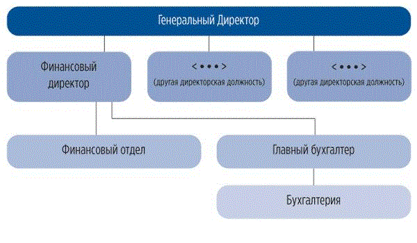 Проект финансовый директор