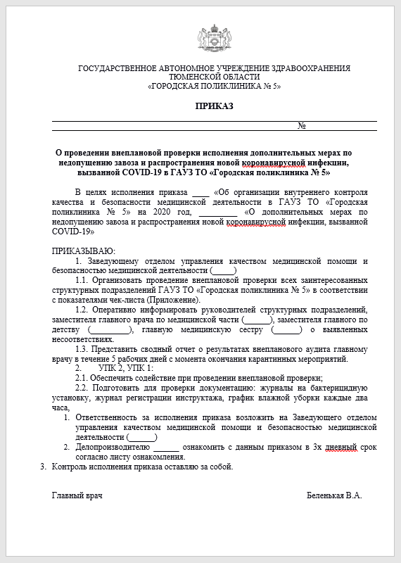 Приказ о проведении ревизии по проверке финансового учета в коммерческой организации образец