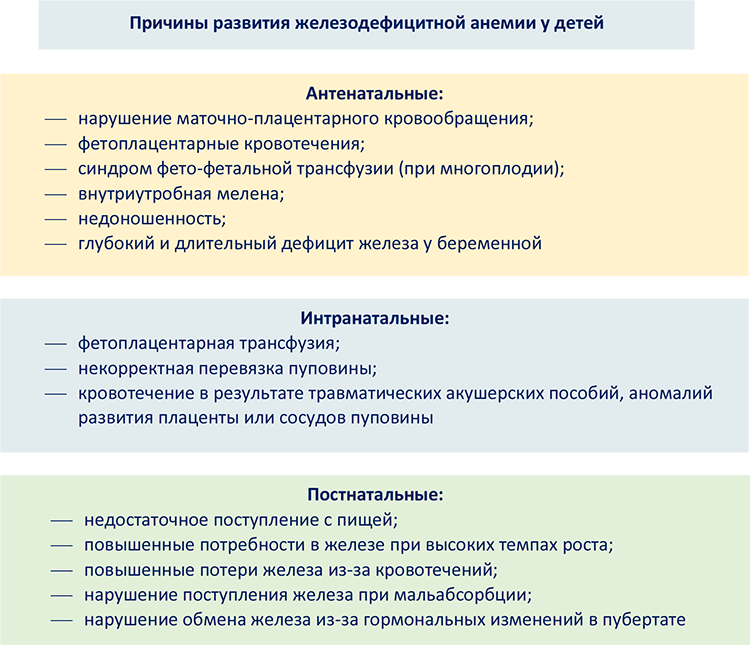 Анемия – симптомы, лечение, диагностика