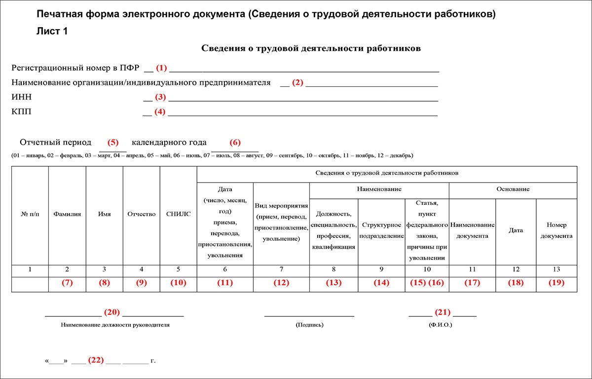 Сведения о трудовой деятельности образец