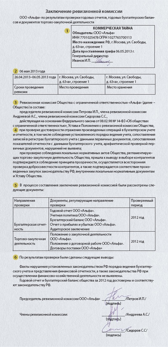 Отчет ревизора ооо образец