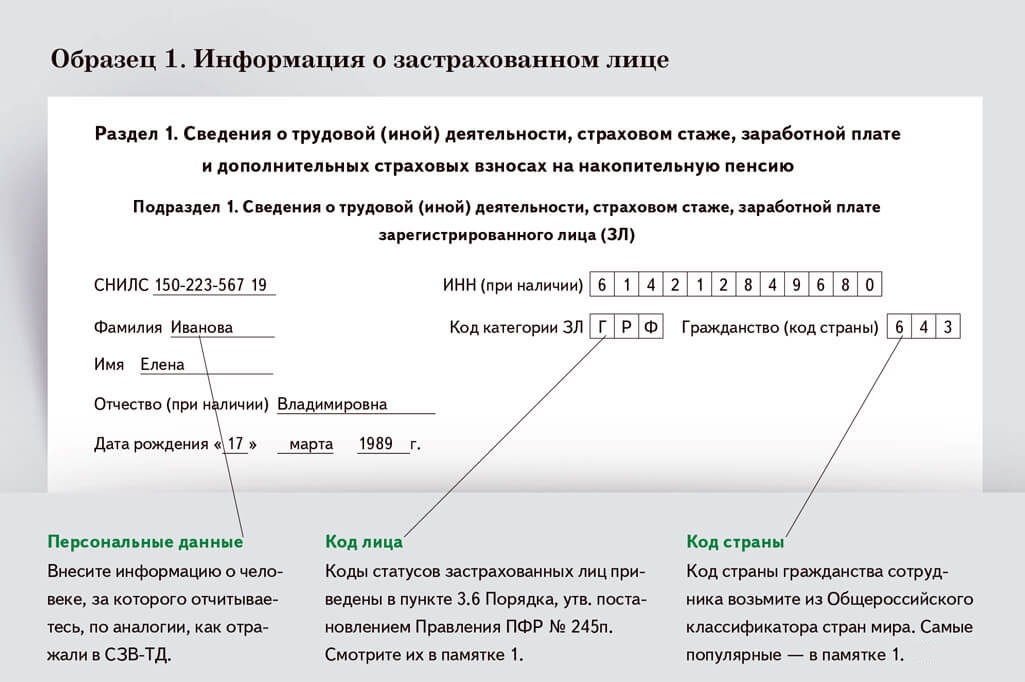 Новый отчет ефс1 образец