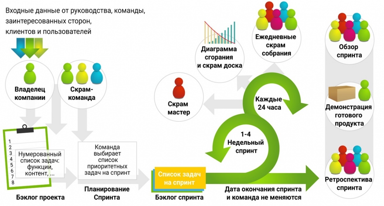 Какой размер команды разработки проекта по методологии scrum рекомендуется