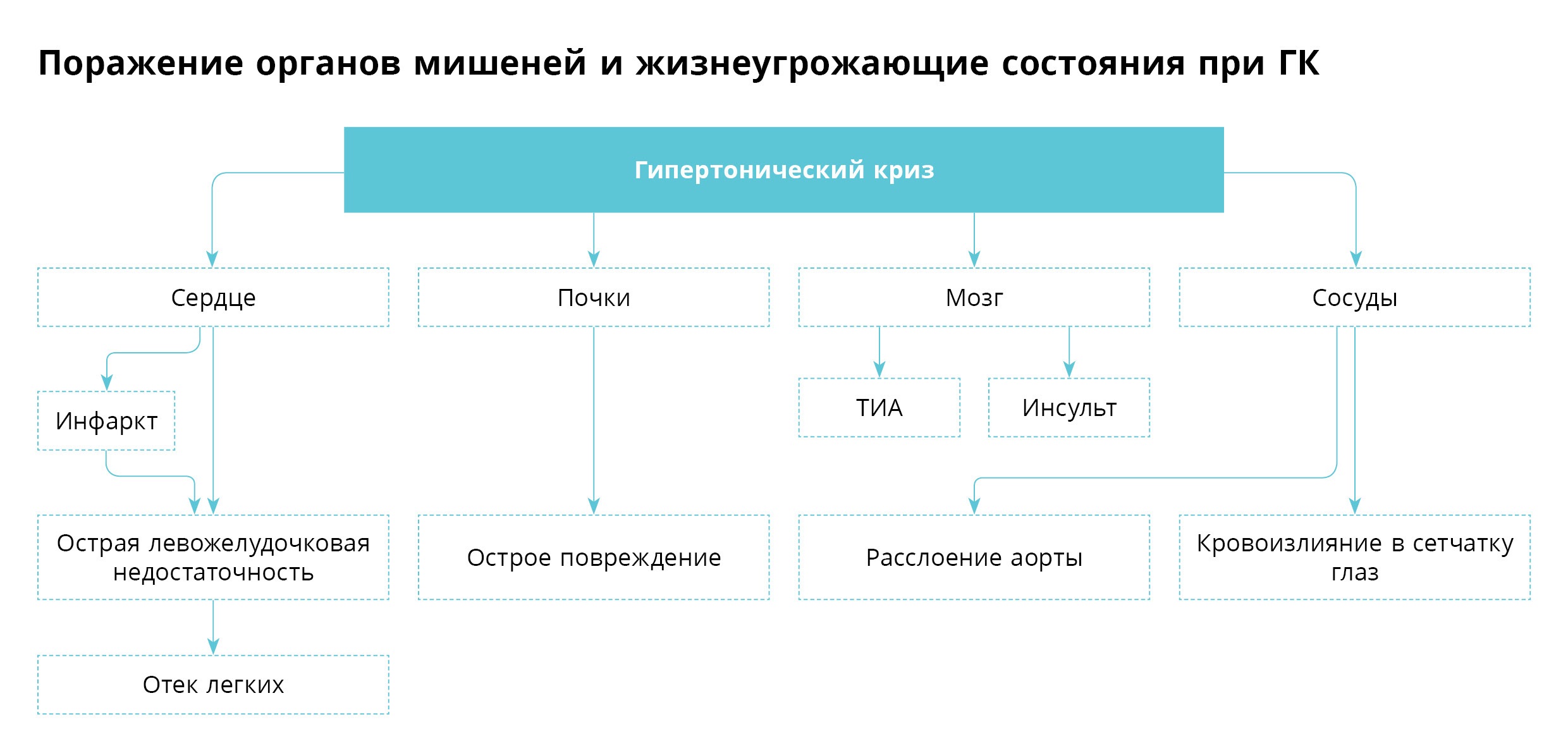 Гипертонический криз в практике терапевта: триггеры, признаки поражения ...