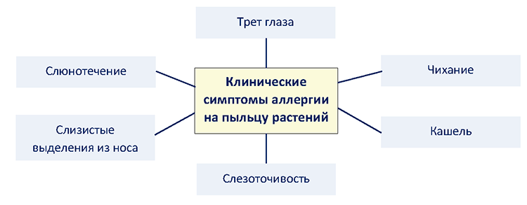 https://e.profkiosk.ru/service_tbn2/guuabh.png