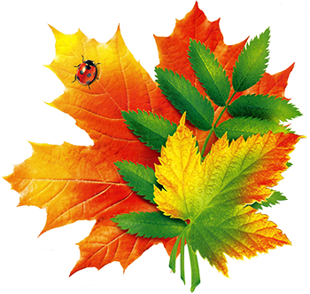 Жетілген ресейлік әйелдердің фотогалереялары