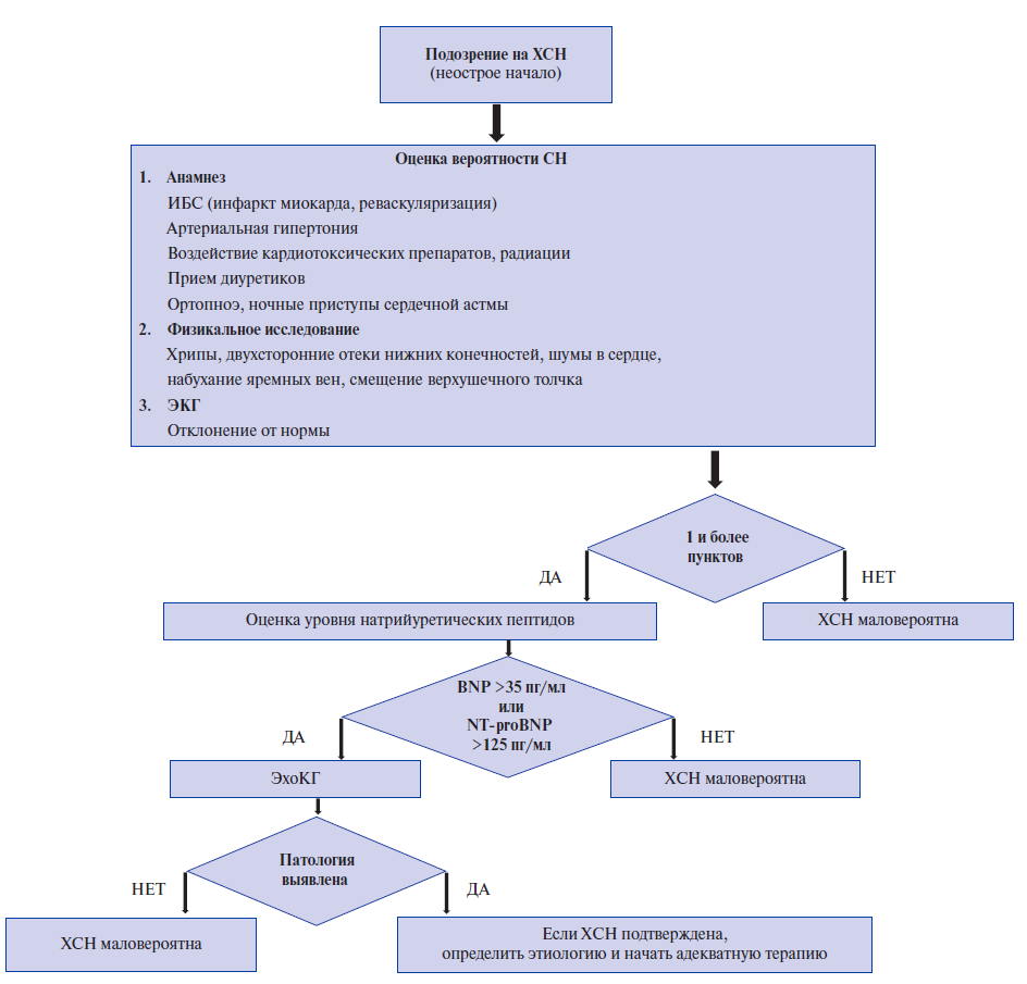 Алгоритм выявления. Алгоритм диагностики компьютера. Алгоритм диагностики олл. Клинические рекомендации по ХСН 2020г.