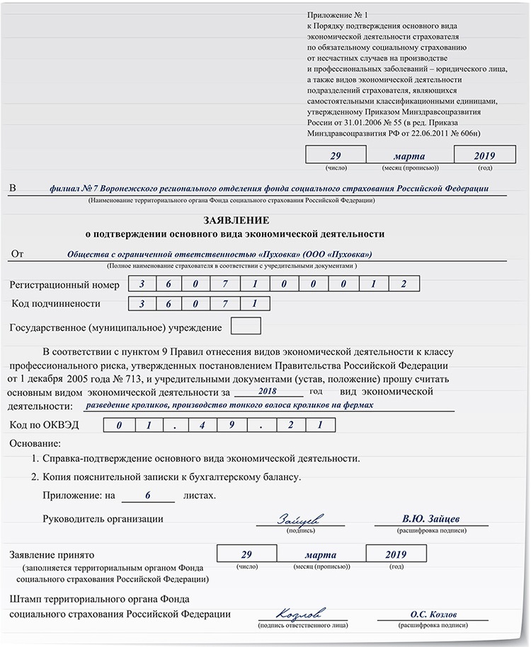 Пояснительная записка в фсс образец