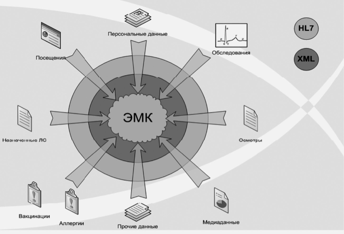 Электронная медицинская карта московская область