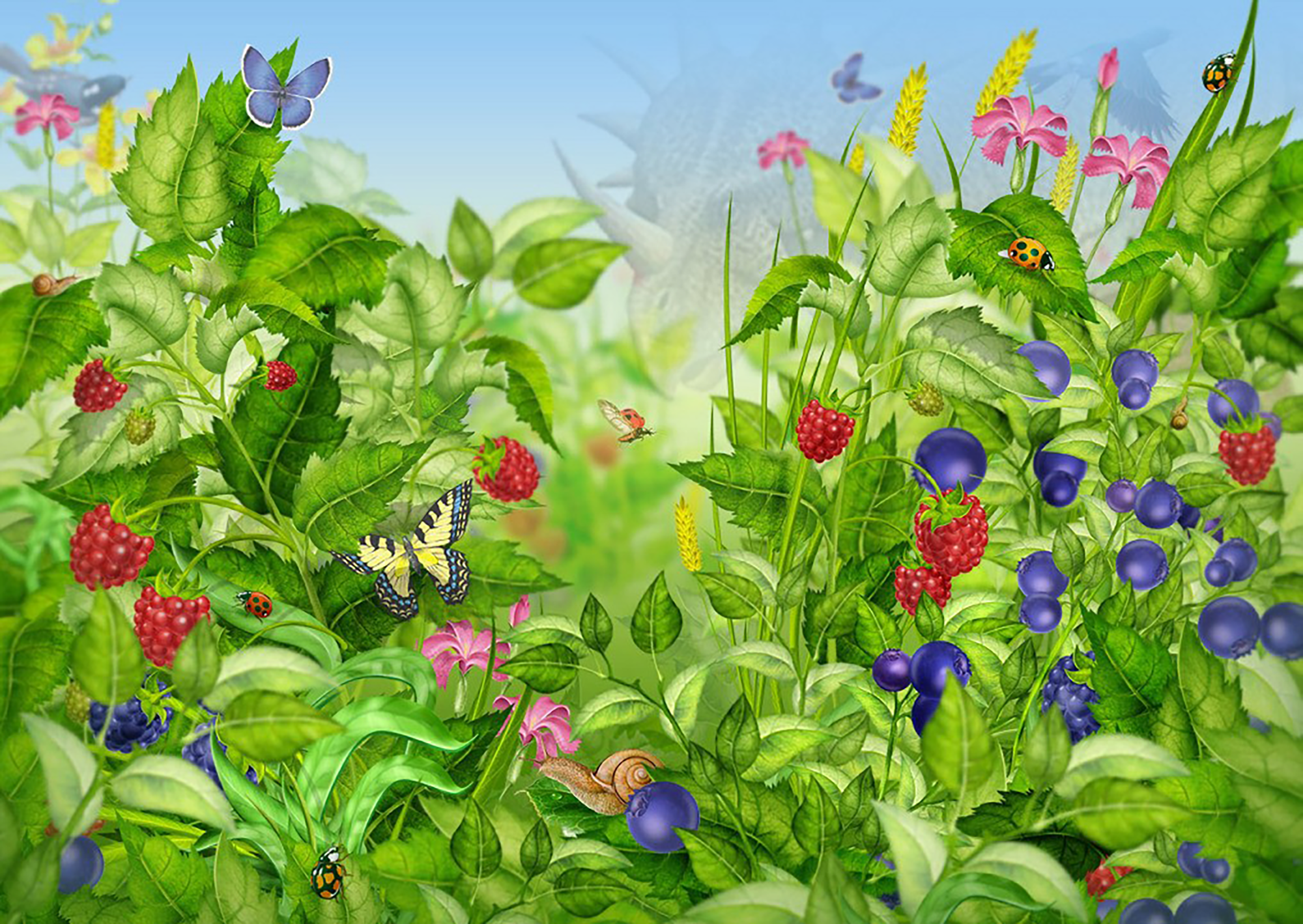 Цветы лета рассказ. Поляна цветов для детей. Ягоды в лесу. Растения летом для дошкольников. Полянка с ягодами для детей.