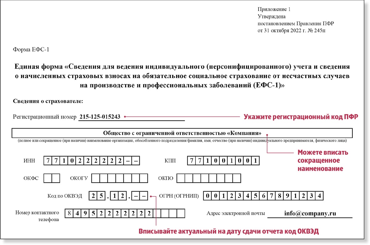 Регистрационный номер страхователя в ефс 1