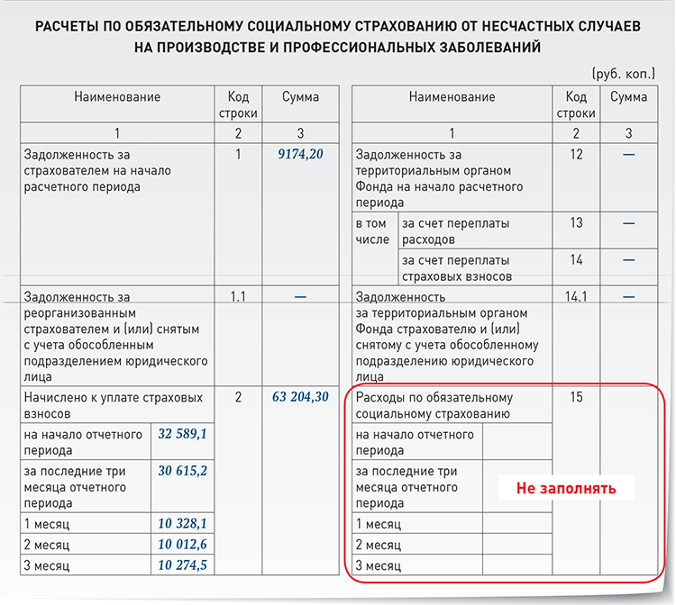 Образец заполнения 4 фсс за 2022 год