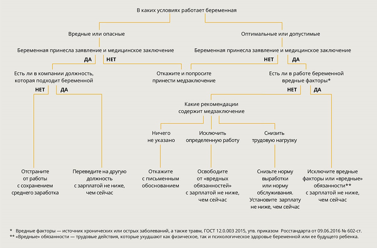 Как перевести беременную на легкий труд и когда в этом можно отказать –  Кадровое дело № 3, Март 2020