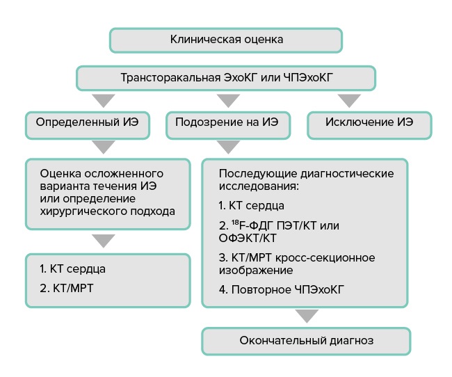 Структура инфекционного отделения схема