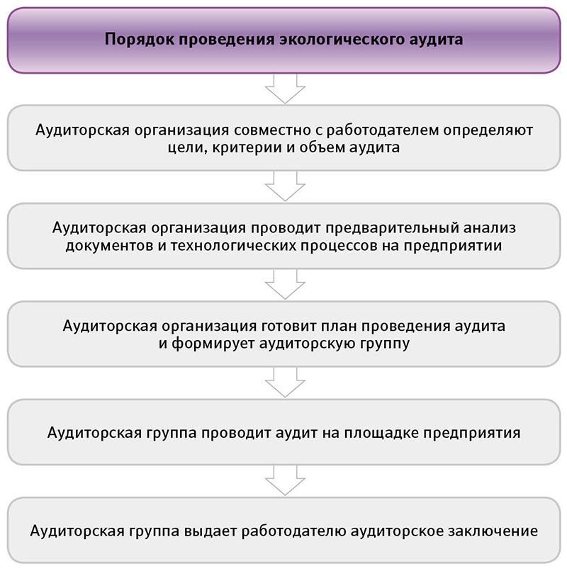 Схема внутреннего аудита