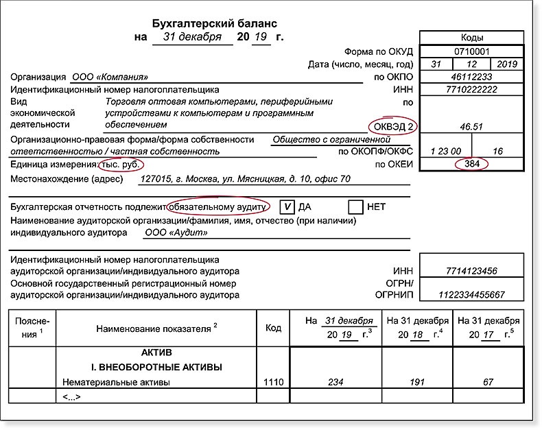 Бухгалтерский баланс ООО за 2019. Бухгалтерский баланс аудиторское заключение. Запрос остатка для аудиторов.