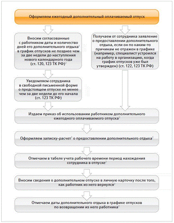 Виды отпусков схема