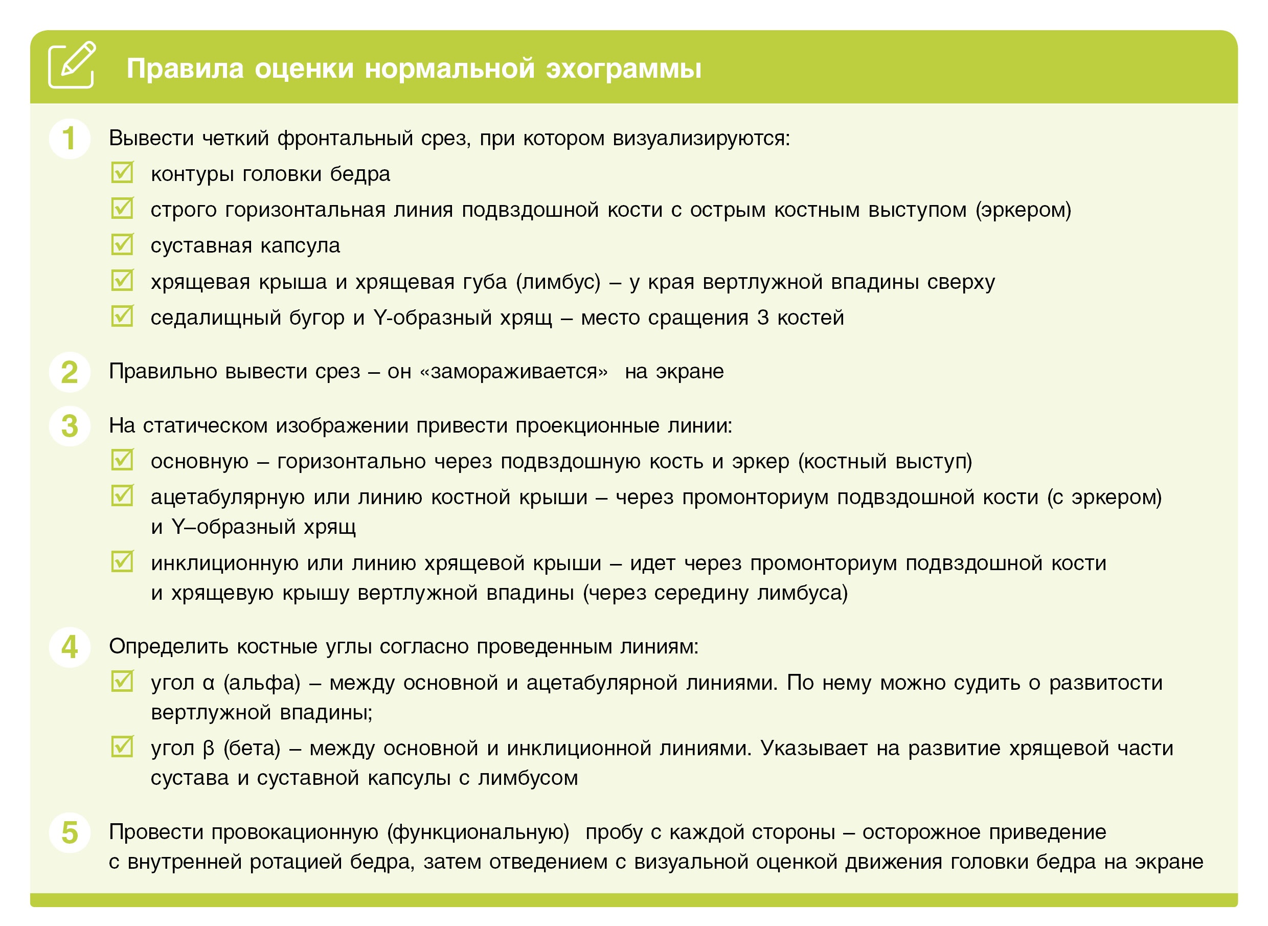 Все углы и&nbsp;линии&nbsp;&ndash; 5&nbsp;правил, чтобы&nbsp;разобраться в&nbsp;УЗИ тазобедренных суставов