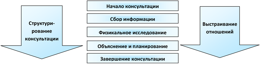 Калгари кембриджская модель консультации. Калгари-Кембриджская модель схема.