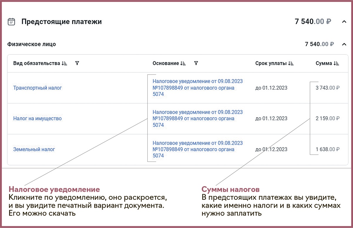 Что и как проверить перед уплатой личных налогов в ноябре – Упрощёнка № 11,  Ноябрь 2023