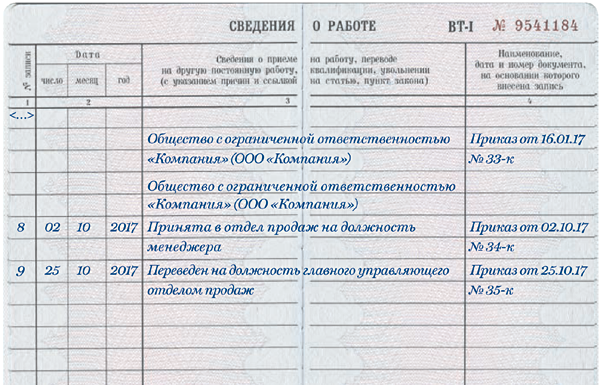 Запись о приеме в порядке перевода в трудовой книжке образец 2022