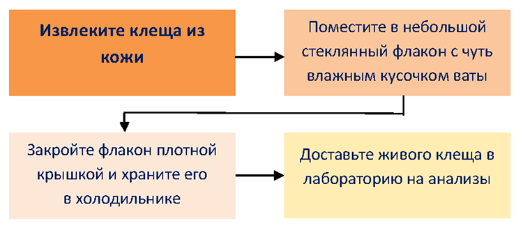 https://e.profkiosk.ru/service_tbn2/upuxav.png