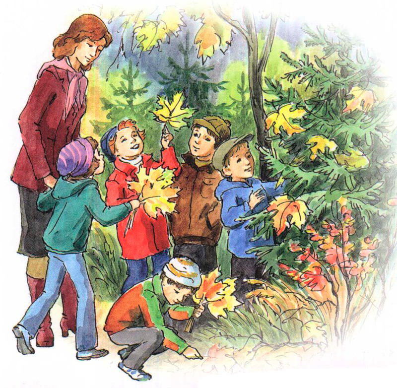 Школа уроки гулять. Дети собирают листья. Осень для детей. Воспитатель с детьми на природе. Осень картинки для дошкольников.