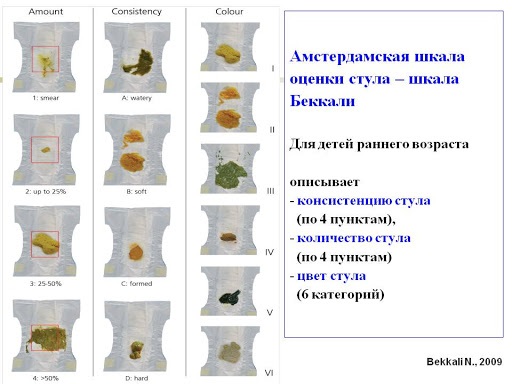 Оценка стула по бристольской шкале