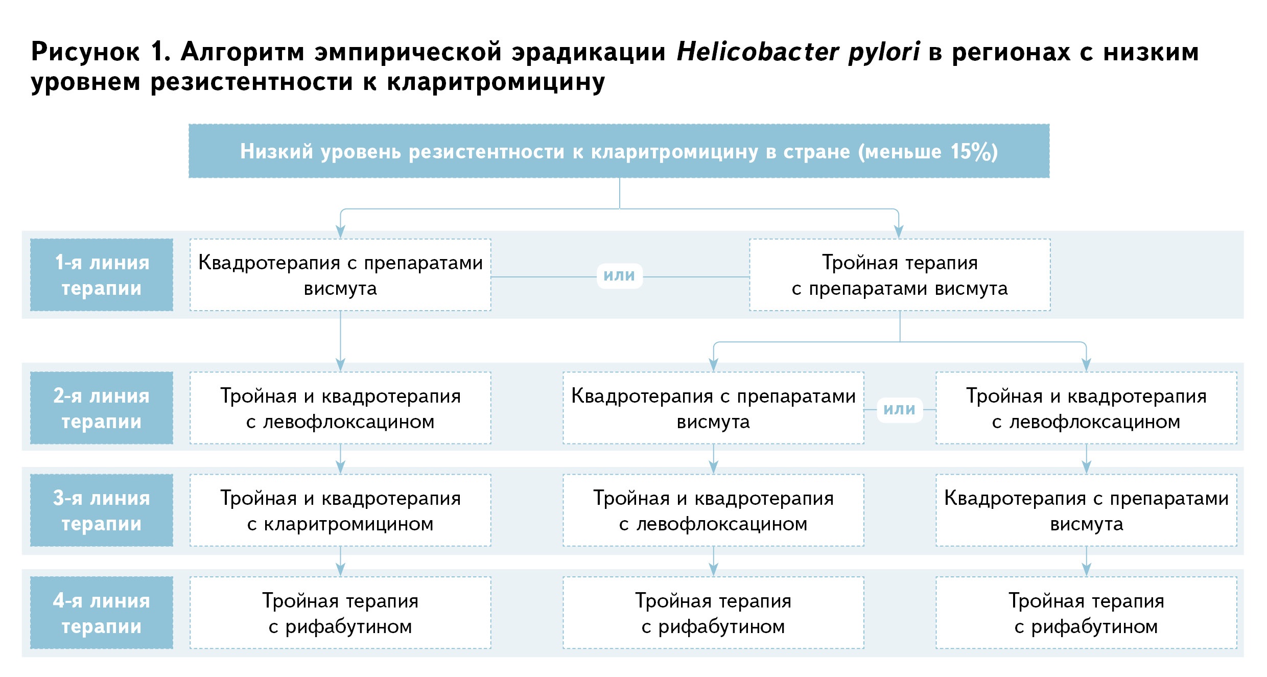 Бактерия хеликобактер пилори